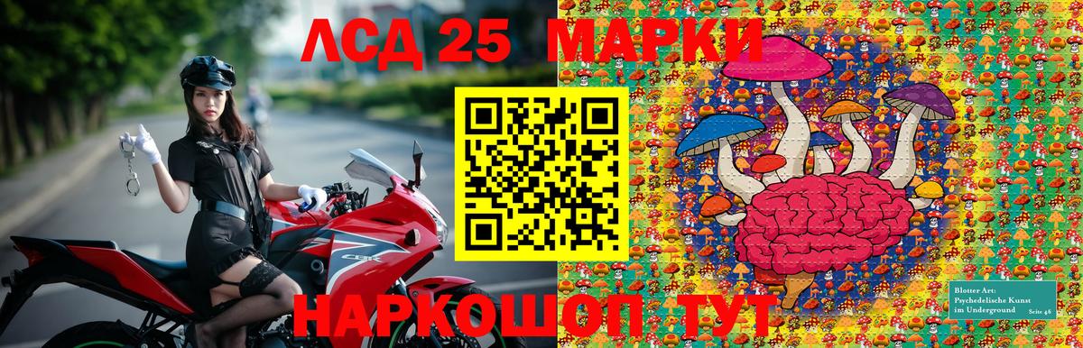 Марки NBOMe 1,5мг  Марки NBOMe 1,5мг  Абакан  Вход с VPN 