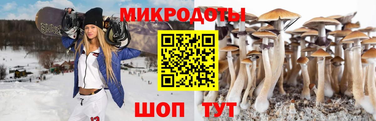Псилоцибиновые грибы Magic Shrooms Абакан